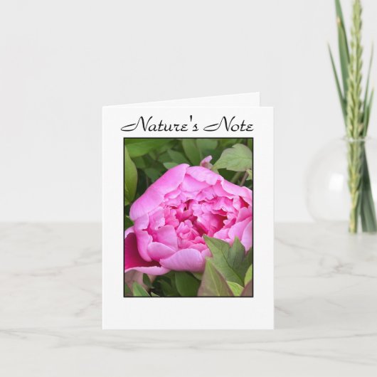 GARDEN PEONY PHOTO FLORAL NOTE CARD NOTITIEKAARTJE (Voorkant)