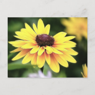 Garden Perfection - Black Eyed Susan Briefkaart