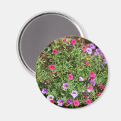 Garden Petunia Magnet (Voorkant / Achterkant)