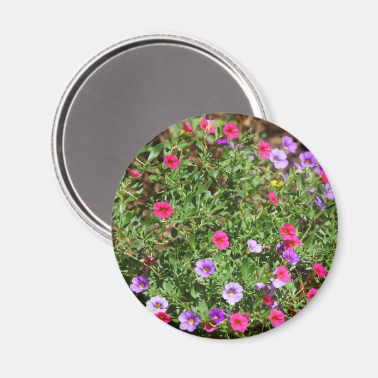 Garden Petunia Magnet (Voorkant / Achterkant)