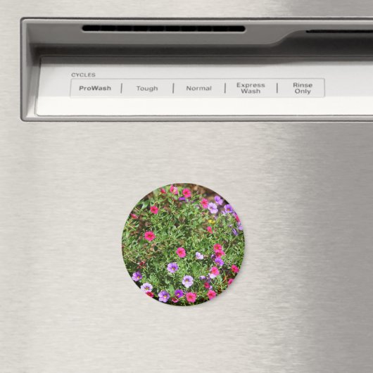 Garden Petunia Magnet (Insitu (Vaatwasser))