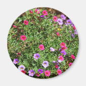 Garden Petunia Magnet (Voorkant)