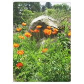 Garden Photo Lush Park Spring Poppies any Text Klembord (Achterkant)