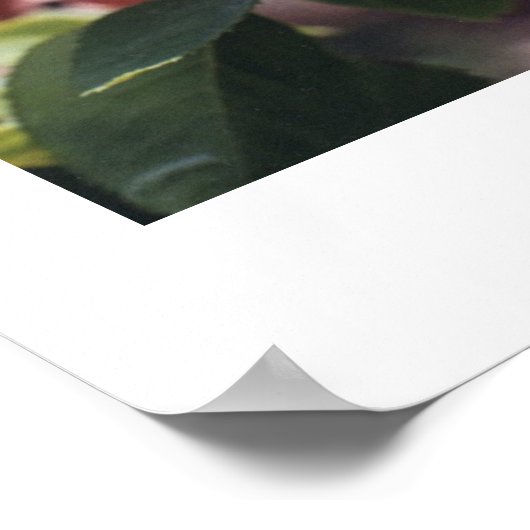 Garden Play Poster (Hoek)