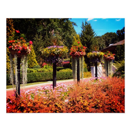 Garden Poster (Voorkant)