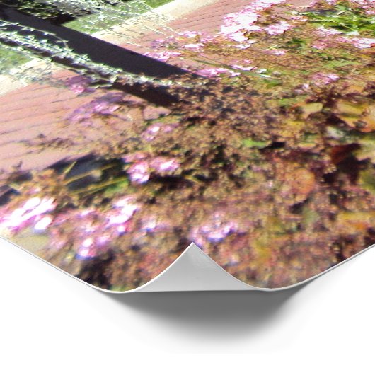 Garden Poster (Hoek)