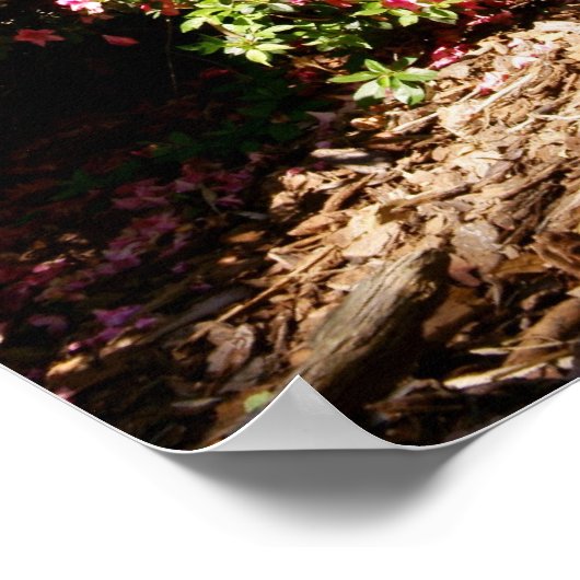 Garden Poster (Hoek)