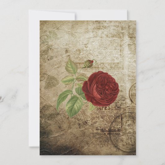  Garden Red Rose Party | Uitnodiging (Achterkant)