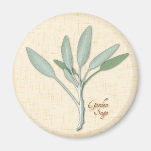 Garden Sage Herb Magnet