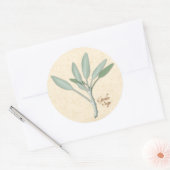 Garden Sage Herb Stickers (Envelop)