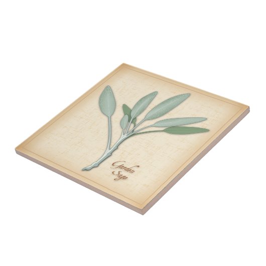 Garden Sage Herb Tegeltje (Zijkant)