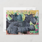 Garden Scottish Terriers Briefkaart (Voorkant / Achterkant)