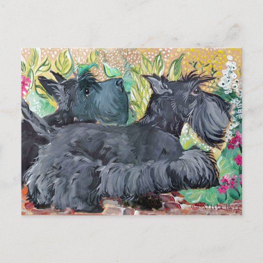 Garden Scottish Terriers Briefkaart (Voorkant)