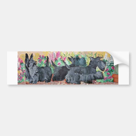 Garden Scottish Terriers Bumpersticker (Voorkant)