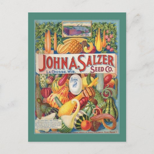 Garden Seed Packet Post Card Briefkaart (Voorkant)