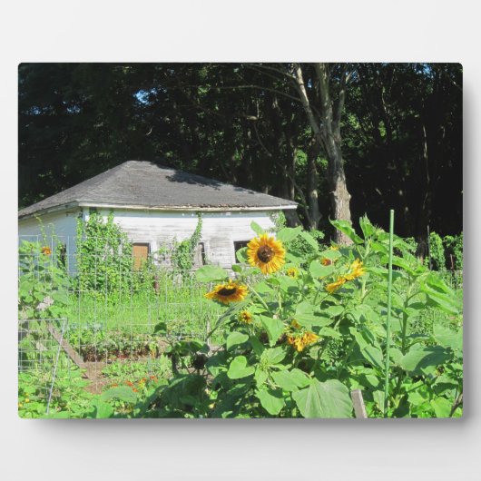 Garden Shed Plaque Fotoplaat (Voorkant)