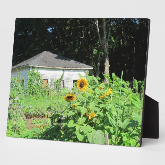 Garden Shed Plaque Fotoplaat (Zijkant)