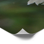 Garden Snagel en Witte Karnenafdrukken Poster (Hoek)