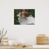 Garden Snagel en Witte Karnenafdrukken Poster (Keuken)