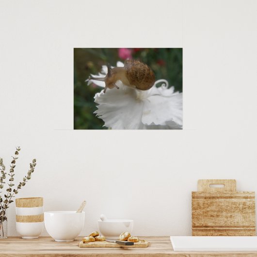 Garden Snagel en Witte Karnenafdrukken Poster (Keuken)