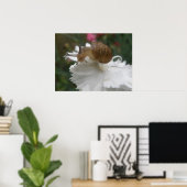 Garden Snagel en Witte Karnenafdrukken Poster (Thuiskantoor)