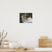 Garden Snagel en Witte Karnenafdrukken Poster (Keuken)