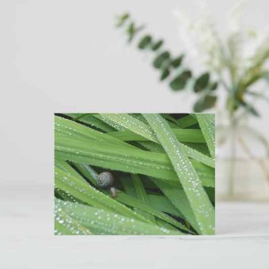 Garden Snail Briefkaart (Staand voorkant)