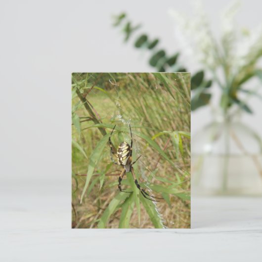 Garden Spider Briefkaart (Staand voorkant)