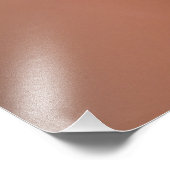 Garden Spider Foto Afdruk (Hoek)