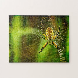 Garden Spider Legpuzzel