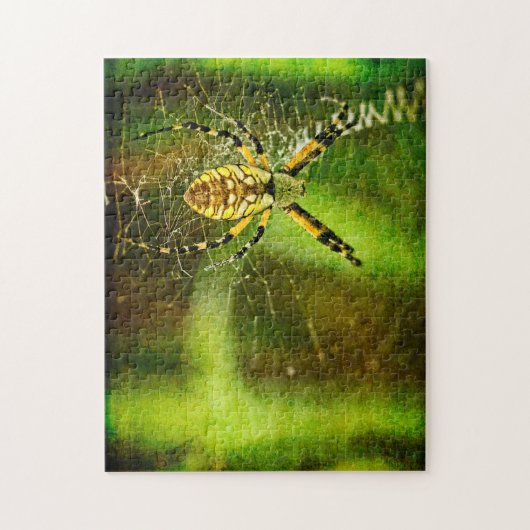 Garden Spider Legpuzzel (Verticaal)
