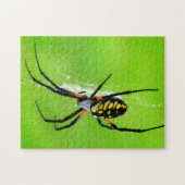 Garden Spider Legpuzzel (Horizontaal)