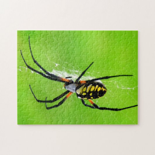 Garden Spider Legpuzzel (Horizontaal)