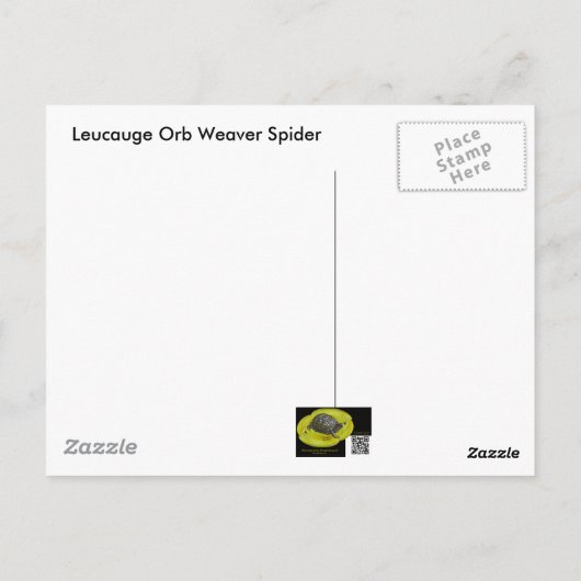 Garden Spider Male Underside Briefkaart (Achterkant)