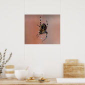 Garden Spider Poster (Keuken)