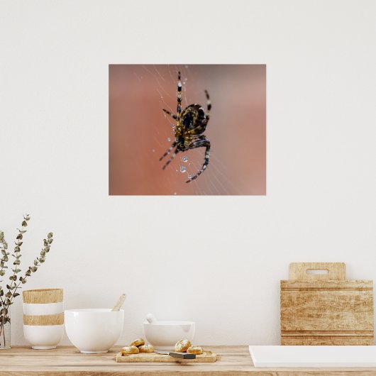 Garden Spider Poster (Keuken)