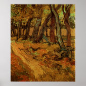 Garden St Paul Hospital Figuur door Vincent van Go Poster (Voorkant)