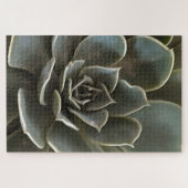 Garden Succulent Green Gray Tones Realistic Art Legpuzzel (Horizontaal)