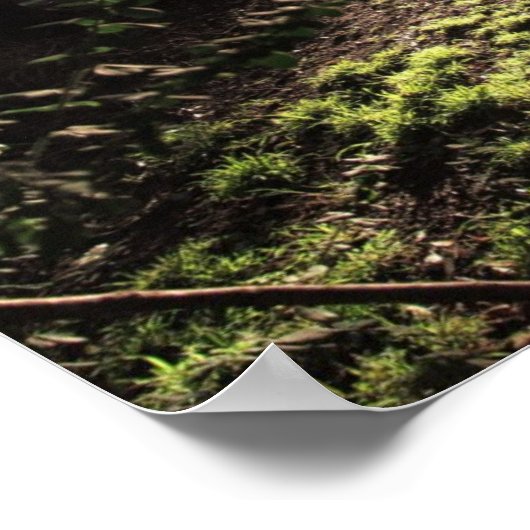 Garden Sunshine Print (Hoek)