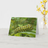 Garden Swallowtail Caterstyle Notecard Kaart (Gele Bloem)