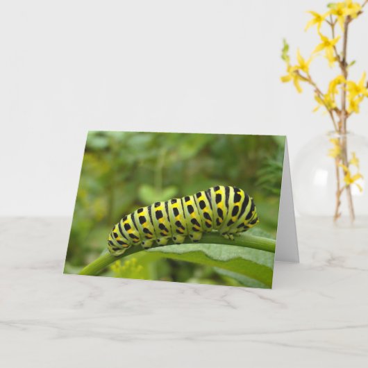 Garden Swallowtail Caterstyle Notecard Kaart (Gele Bloem)