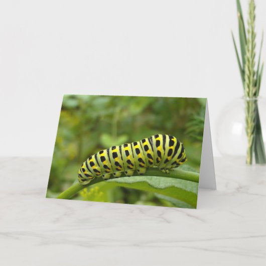 Garden Swallowtail Caterstyle Notecard Kaart (Voorkant)