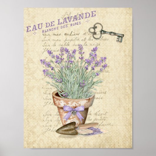 Garden Terracotta Pot French Lavender Poster (Voorkant)