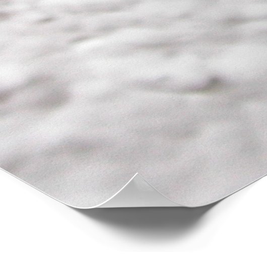 Garden tijgermot poster (Hoek)