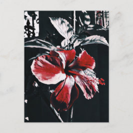 Garden Tropical Hibiscus Artwork Feestdagenkaart