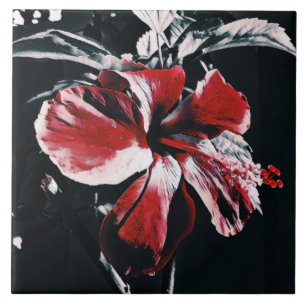 Garden Tropical Hibiscus Artwork Tegeltje