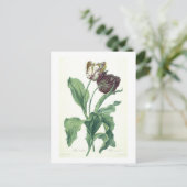 Garden Tulip uit "Opera Botanica", gegraveerd door Briefkaart (Staand voorkant)