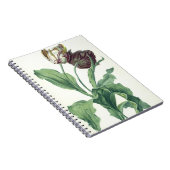 Garden Tulip uit "Opera Botanica", gegraveerd door Notitieboek (Rechterzijde)