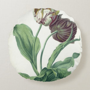 Garden Tulip uit "Opera Botanica", gegraveerd door Rond Kussen