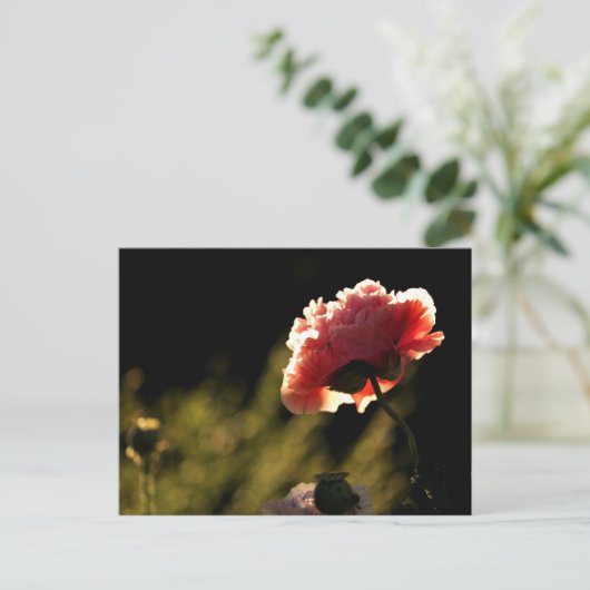 Garden van de buren briefkaart (Staand voorkant)